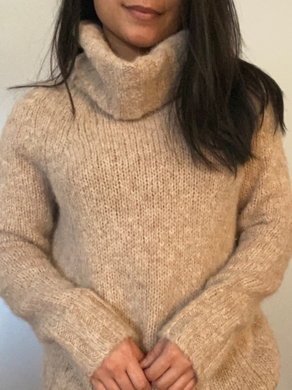 Aritzia Babaton Plutarch Turtleneck Wool Alpaca Blend Sweater